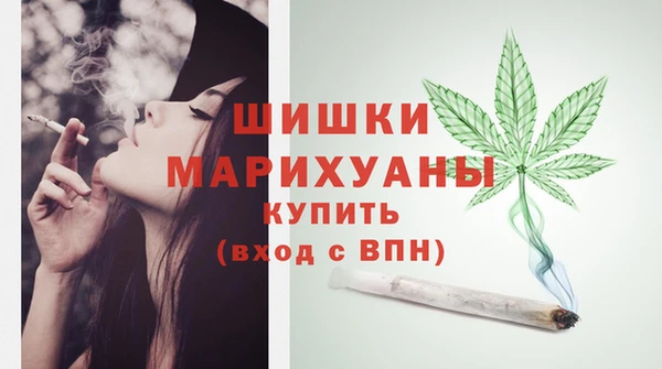 прущий лед Вяземский