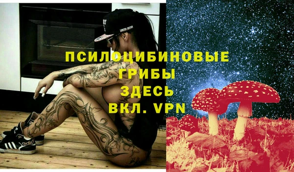 прущий лед Вяземский