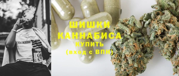 прущий лед Вяземский