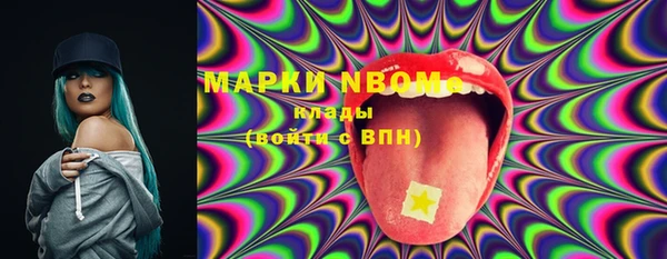 прущий лед Вяземский