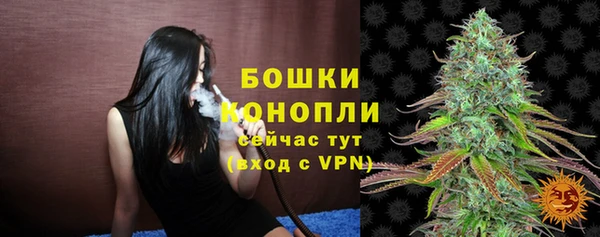прущий лед Вяземский